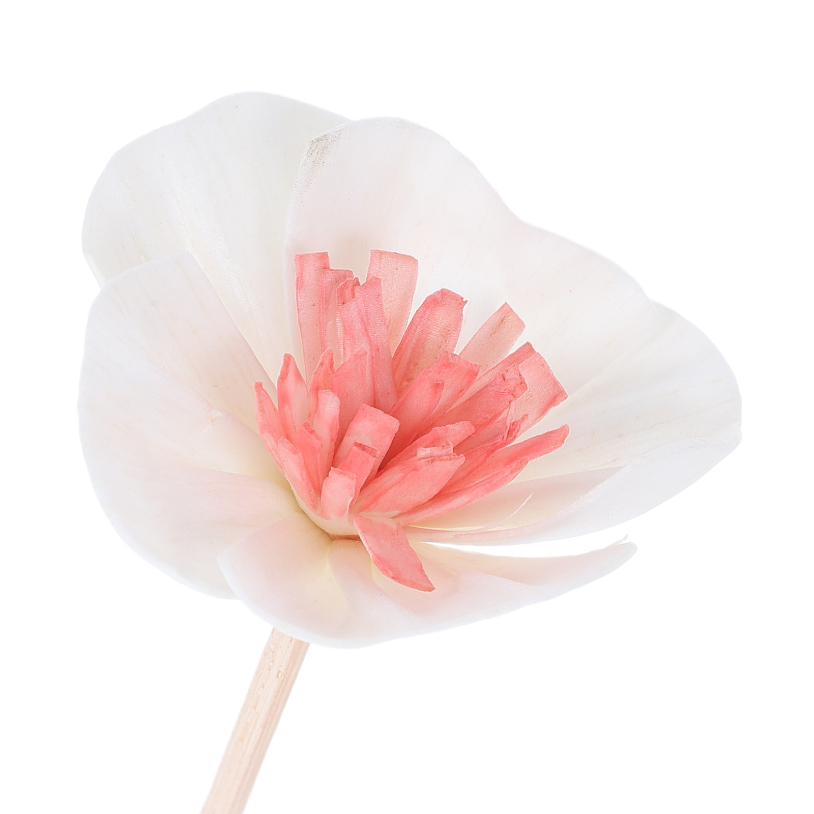 10 stuks etherische olie diffu - Home Fragrance Oil recensie en prijs